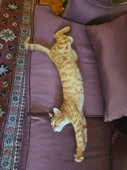 relax